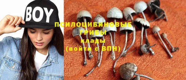 не бодяженный Беломорск
