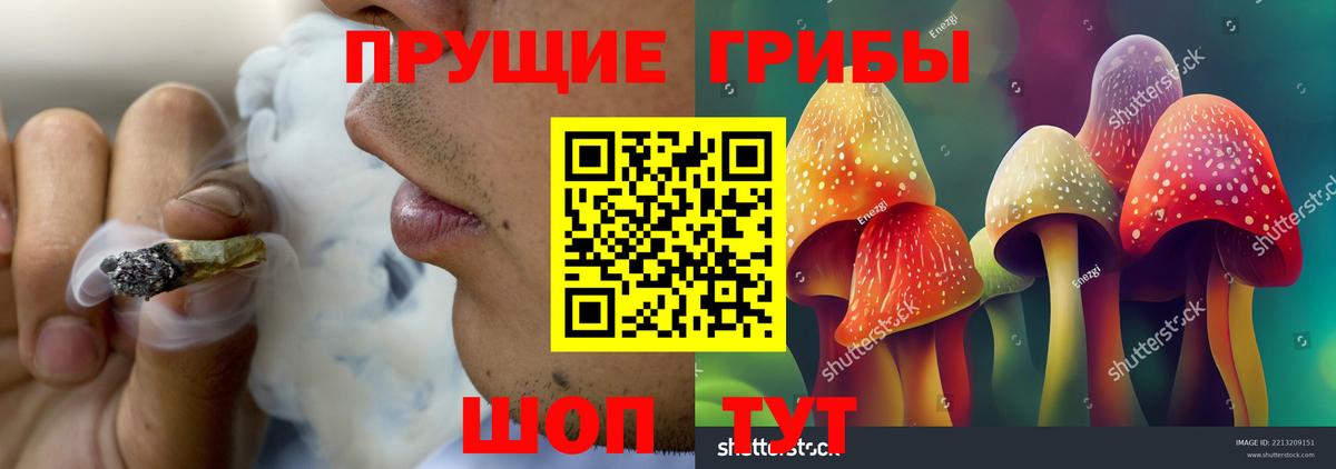Псилоцибиновые грибы GOLDEN TEACHER Надым